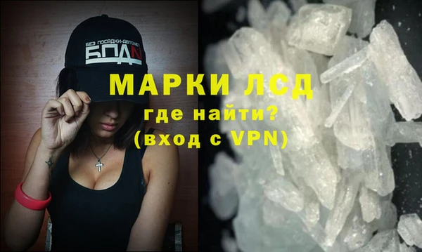 мяу мяу мука Инта