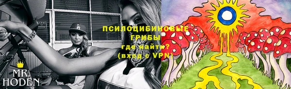 СК Зеленодольск