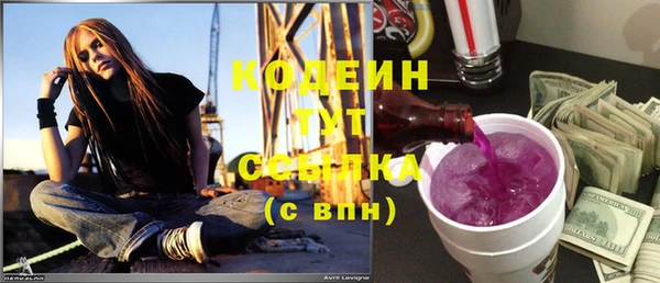 СК Зеленодольск
